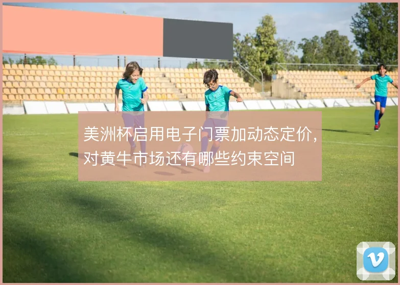 美洲杯启用电子门票加动态定价，对黄牛市场还有哪些约束空间