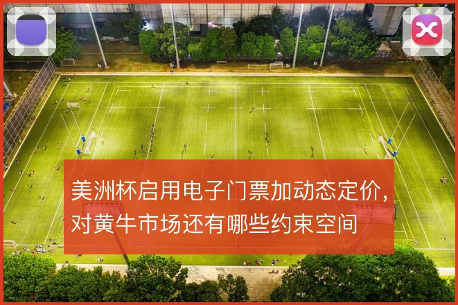 美洲杯启用电子门票加动态定价，对黄牛市场还有哪些约束空间